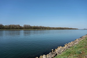 der rhein bei sonnenschein Trending Item 6