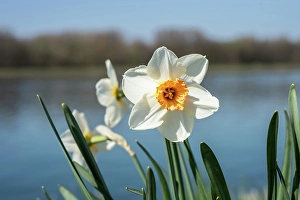 fruhling baden wurttemberg Trending Item 5