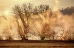 morgennebel der donau