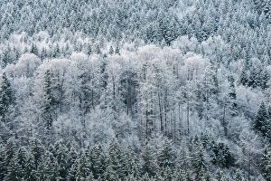 Schneefalle in Baden-Wurttemberg schneefalle baden wurttemberg