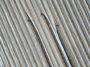 spargelernte Trending Item 2