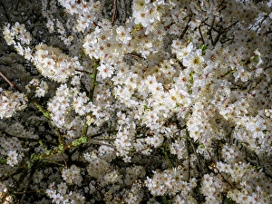 wetter brandenburg Trending Item 6