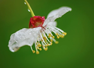 wetter brandenburg Trending Item 3