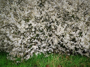 wetter brandenburg Trending Item 4