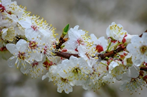 wetter brandenburg Trending Item 3