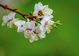 wetter brandenburg Trending Item 1